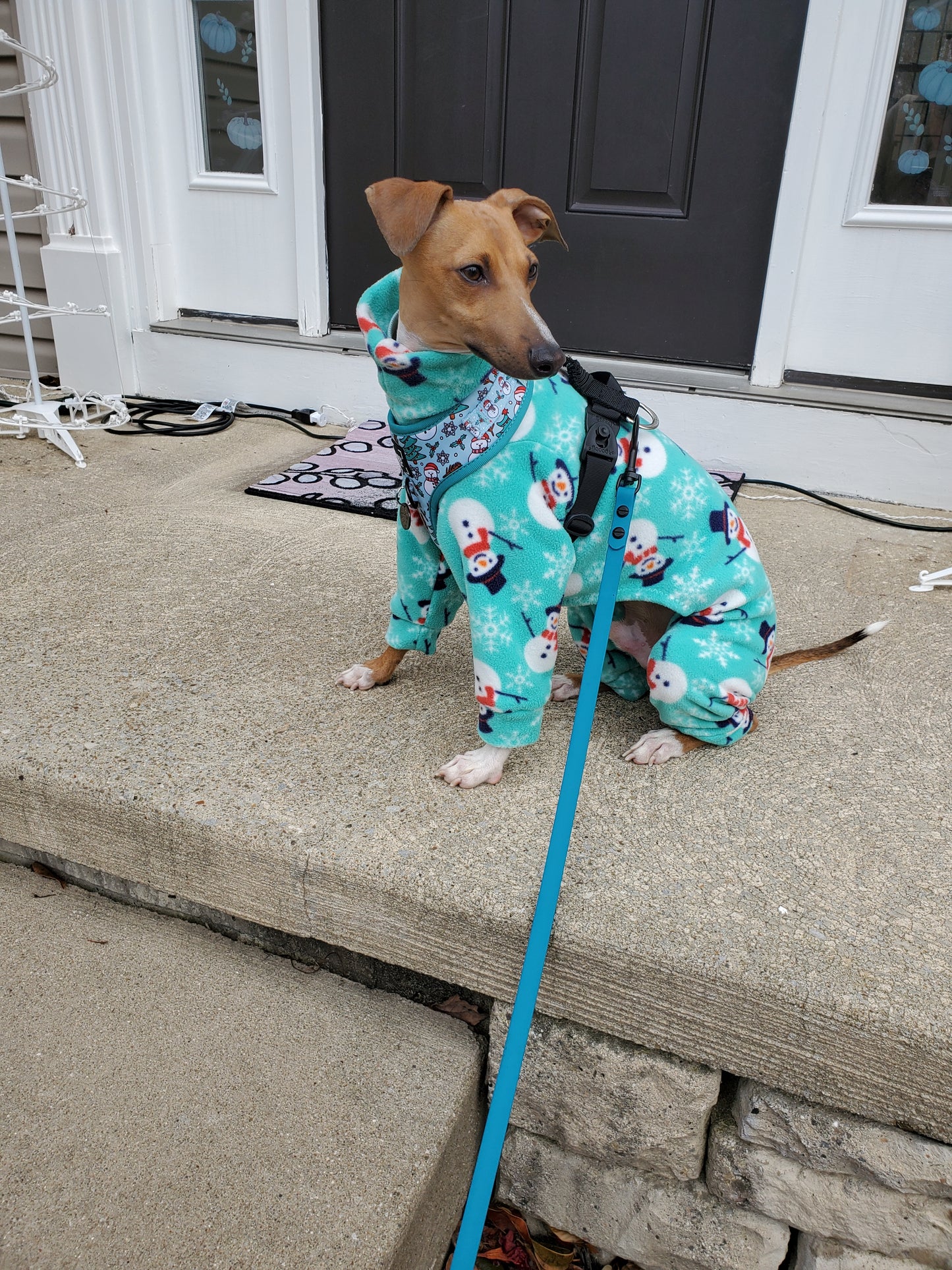 Italian Greyhound aqua happy snowmen Christmas onesie. All sizes - MADE TO ORDER