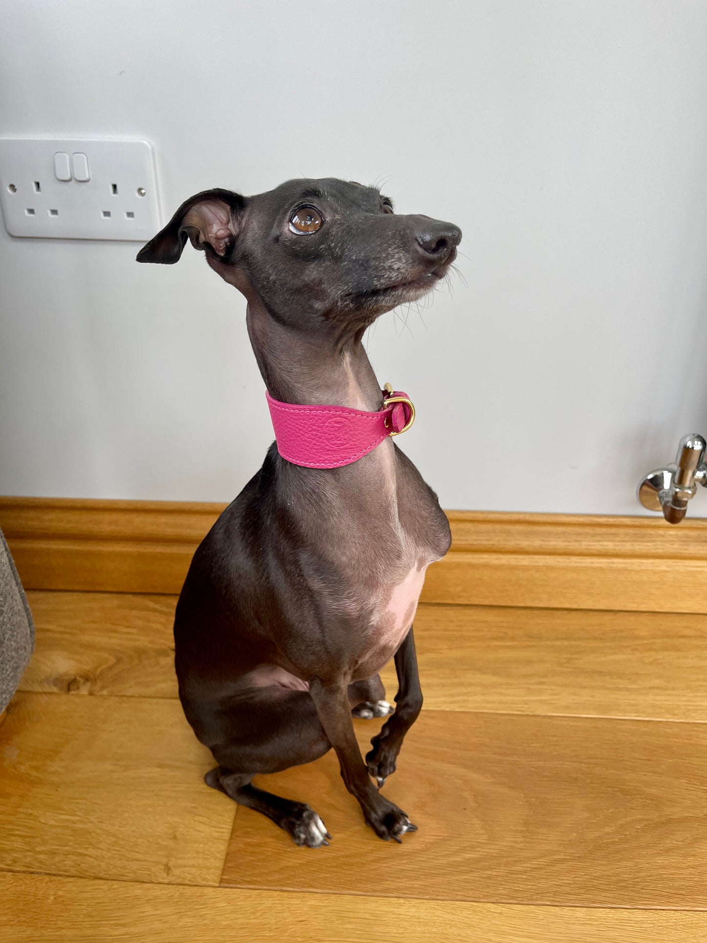 Super soft leather Whippet collar - Passion Pink