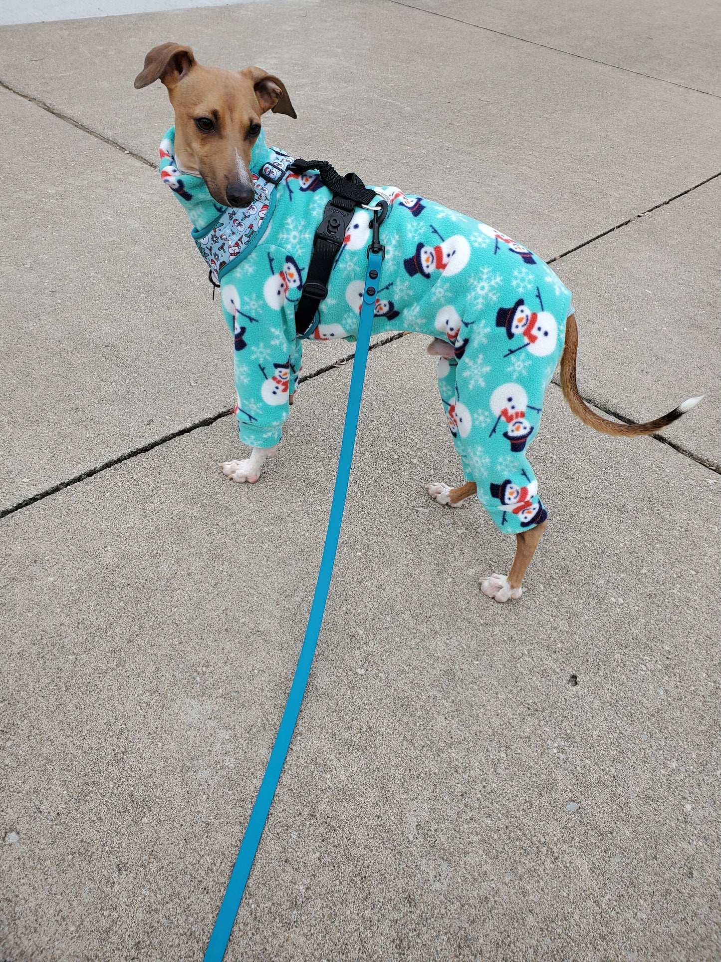 Italian Greyhound aqua happy snowmen Christmas onesie. All sizes - MADE TO ORDER