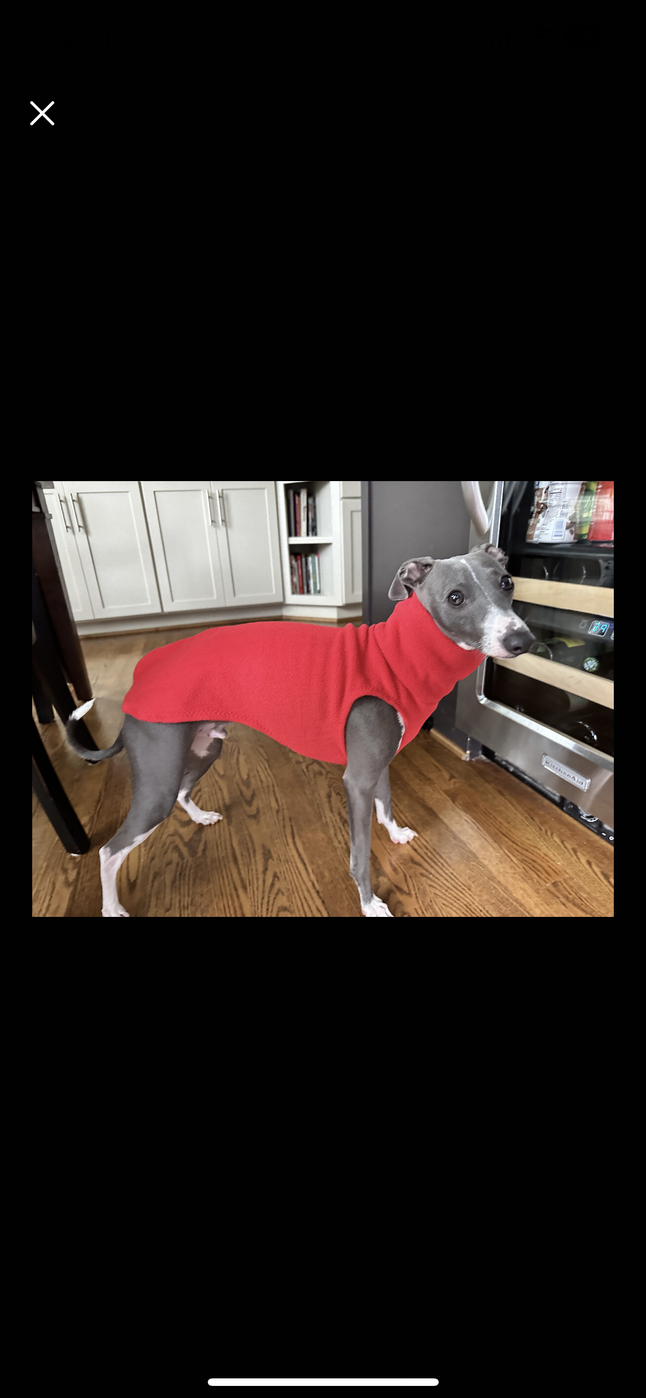 Made to order Italian Greyhound fleece vest jumper size MEDIUM - Plain fleece