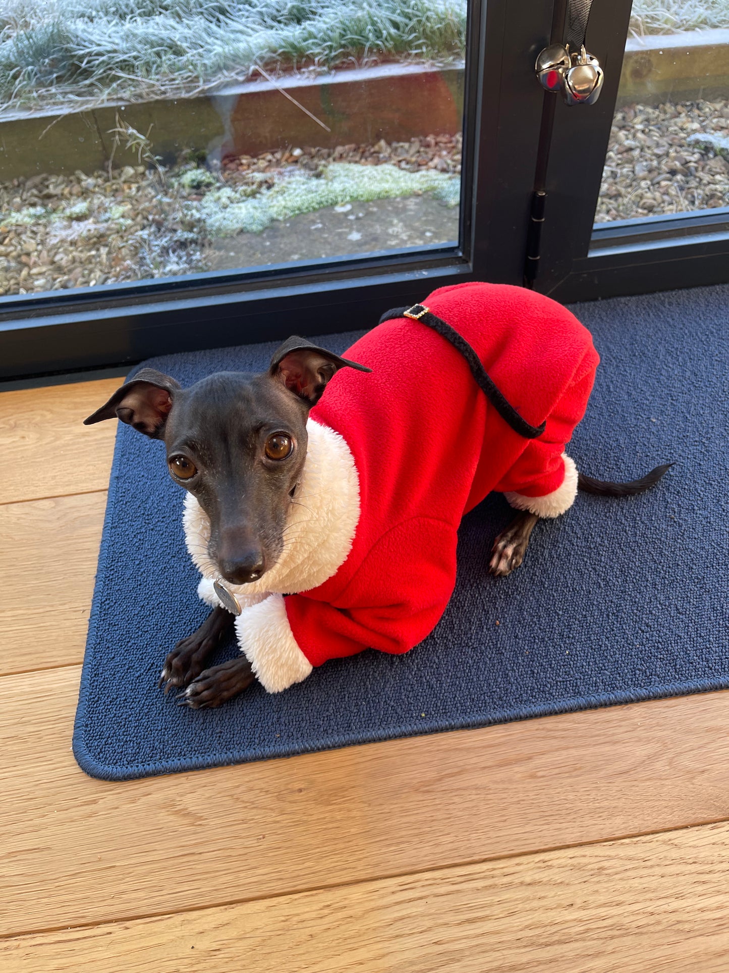 Santa suit. Italian Greyhound father Christmas fleece onesie jumper. Iggy jumpsuit. All sizes - MADE TO ORDER