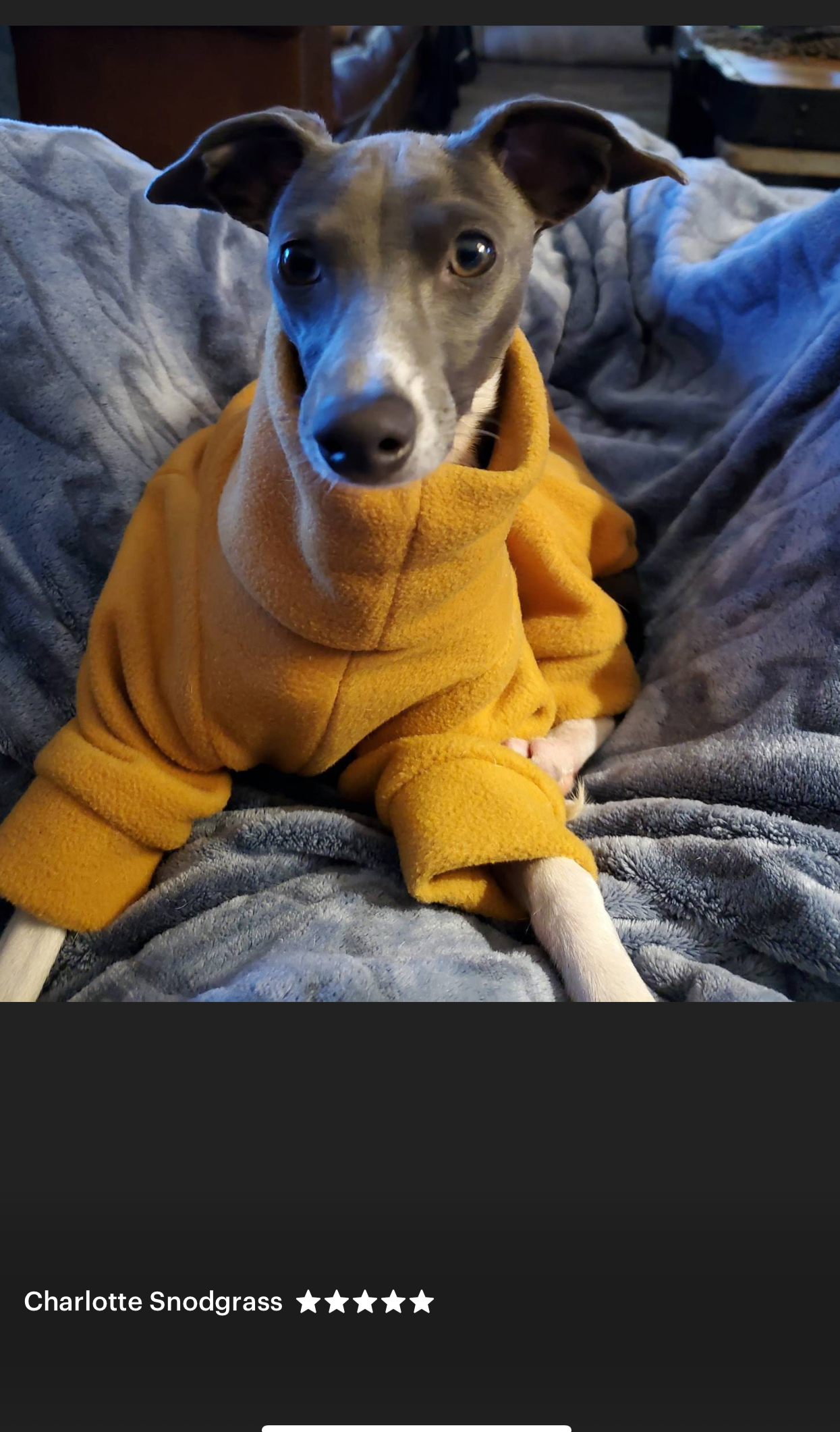 Italian greyhound onesie size L - Plain fleece