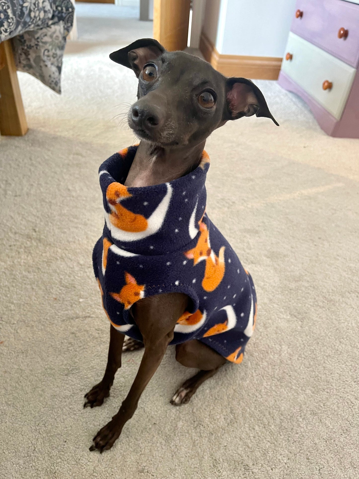 Made to order Italian Greyhound fleece vest jumper size XS - Patterned fleece