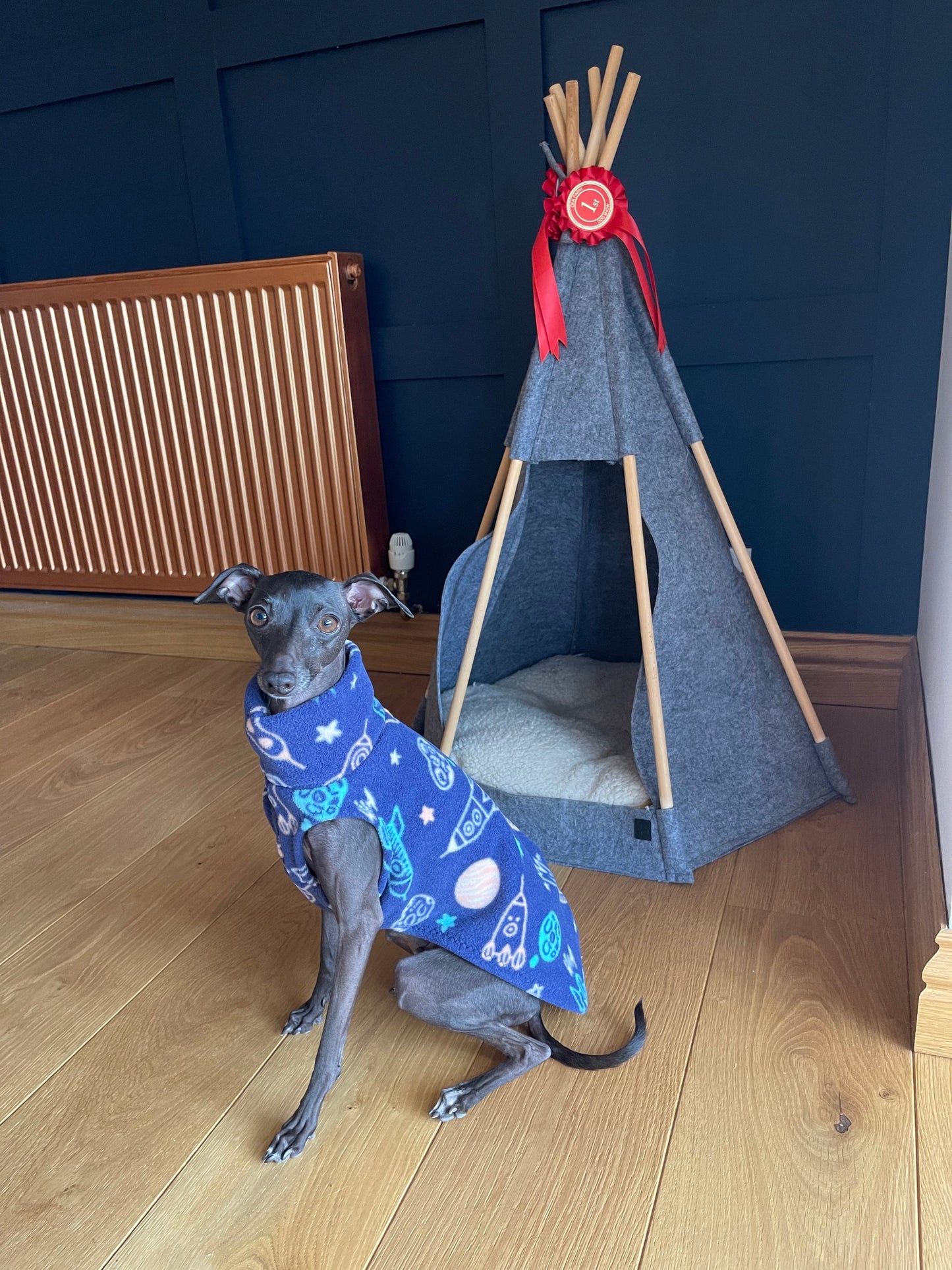 Made to order Italian Greyhound fleece vest jumper size XS - Patterned fleece