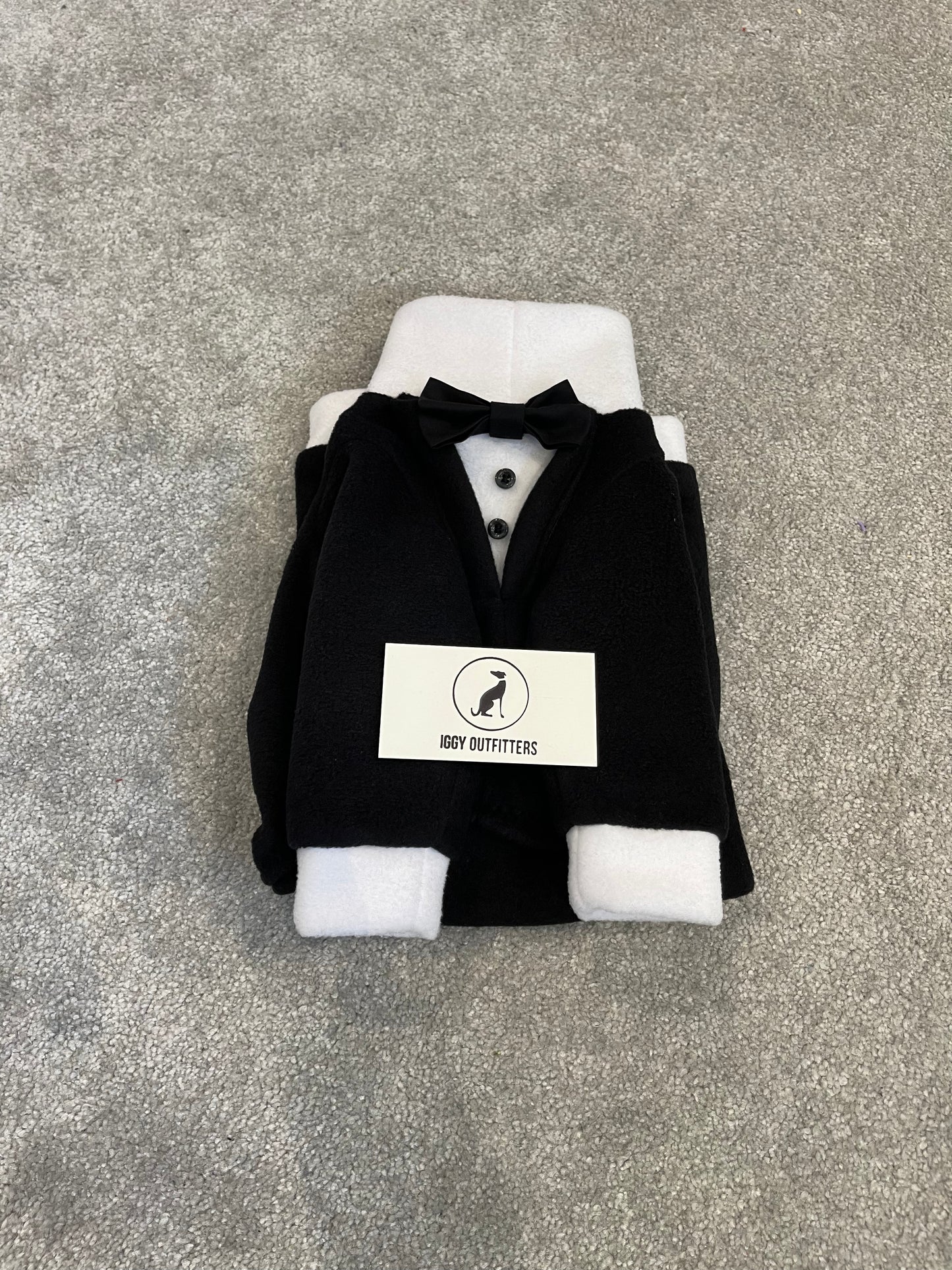 Made to order Italian Greyhound tuxedo dinner suit