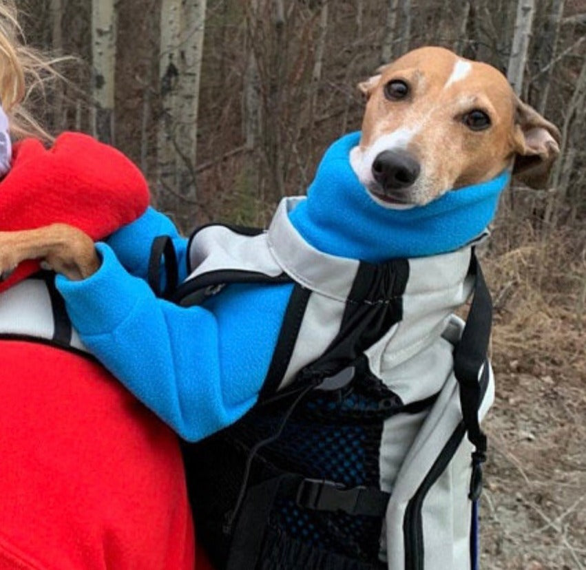 Italian greyhound onesie size L - Plain fleece