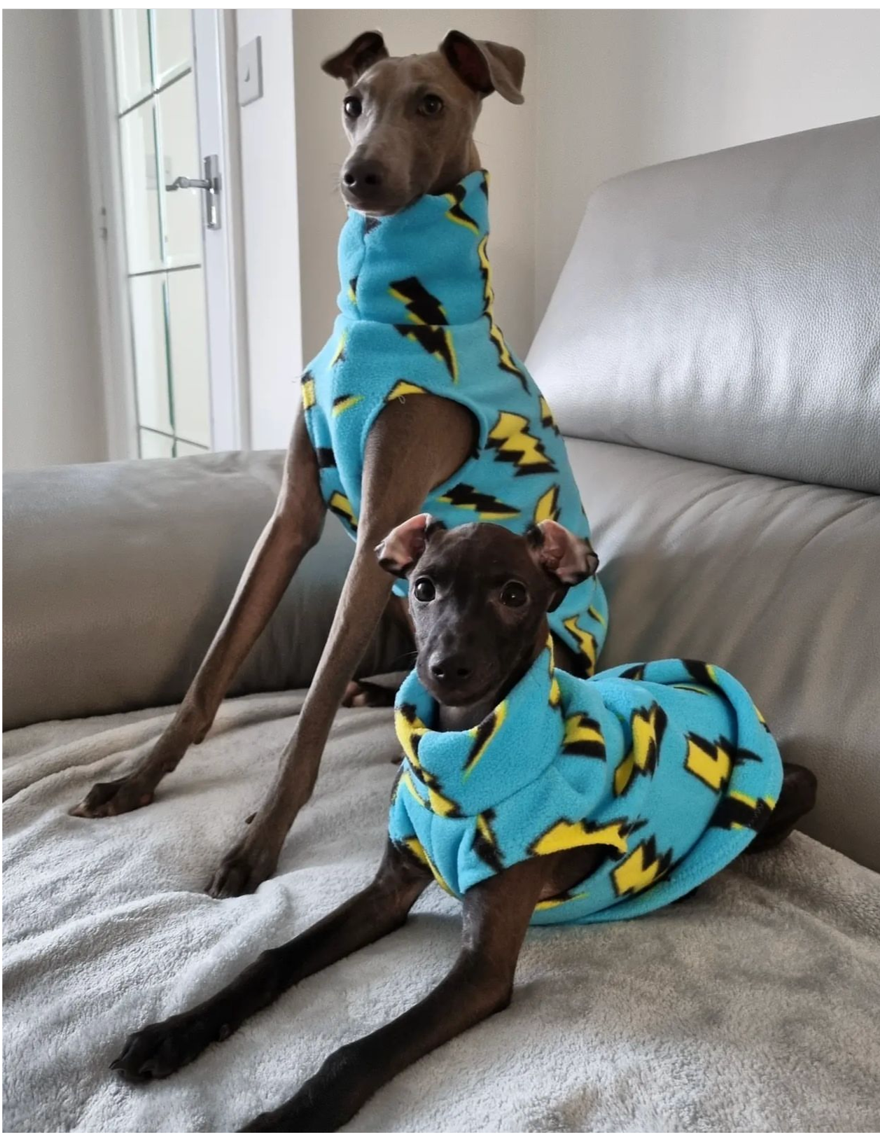 Made to order Italian Greyhound fleece vest jumper size XS - Patterned fleece
