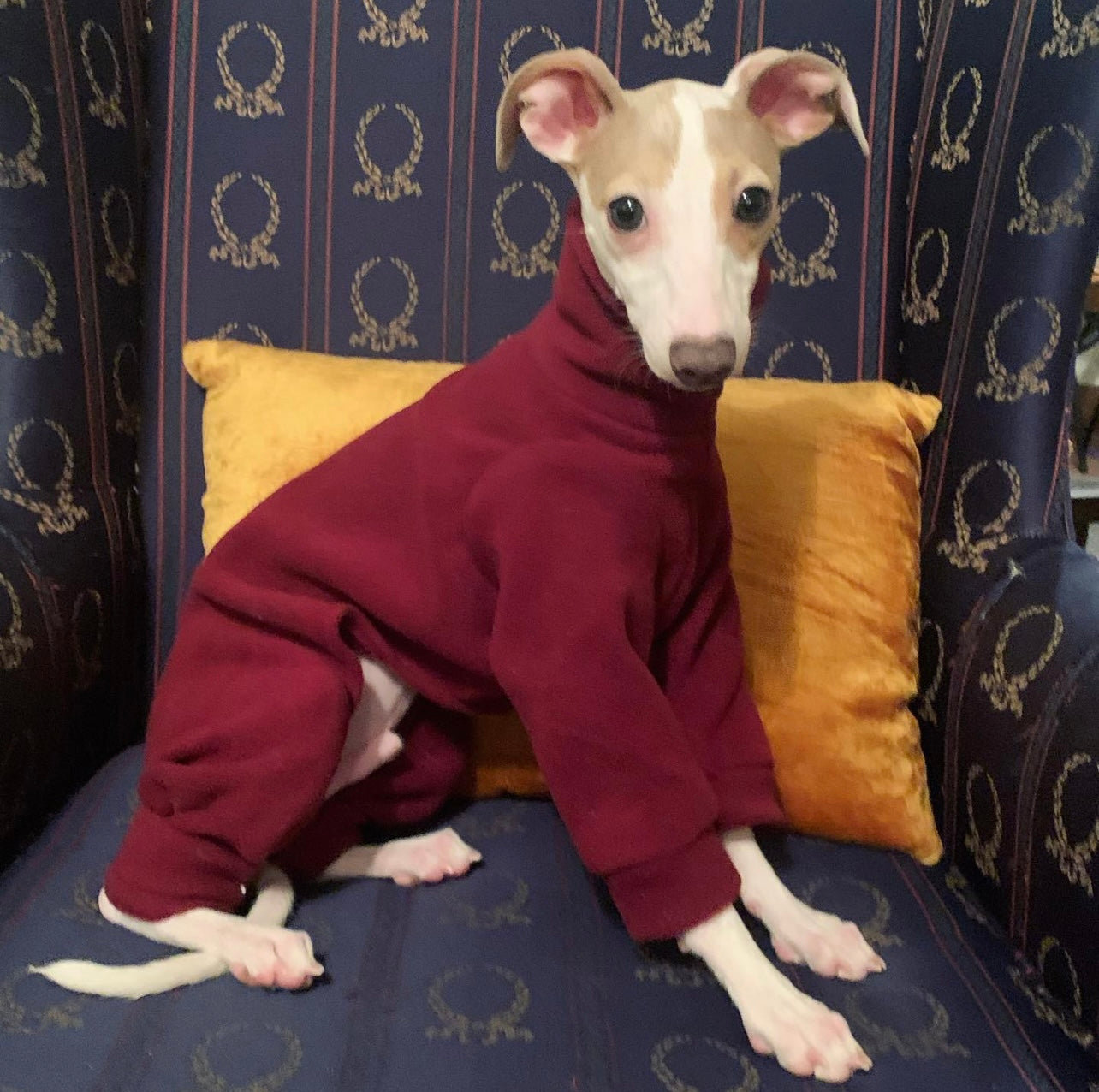 Italian greyhound onesie size L - Plain fleece