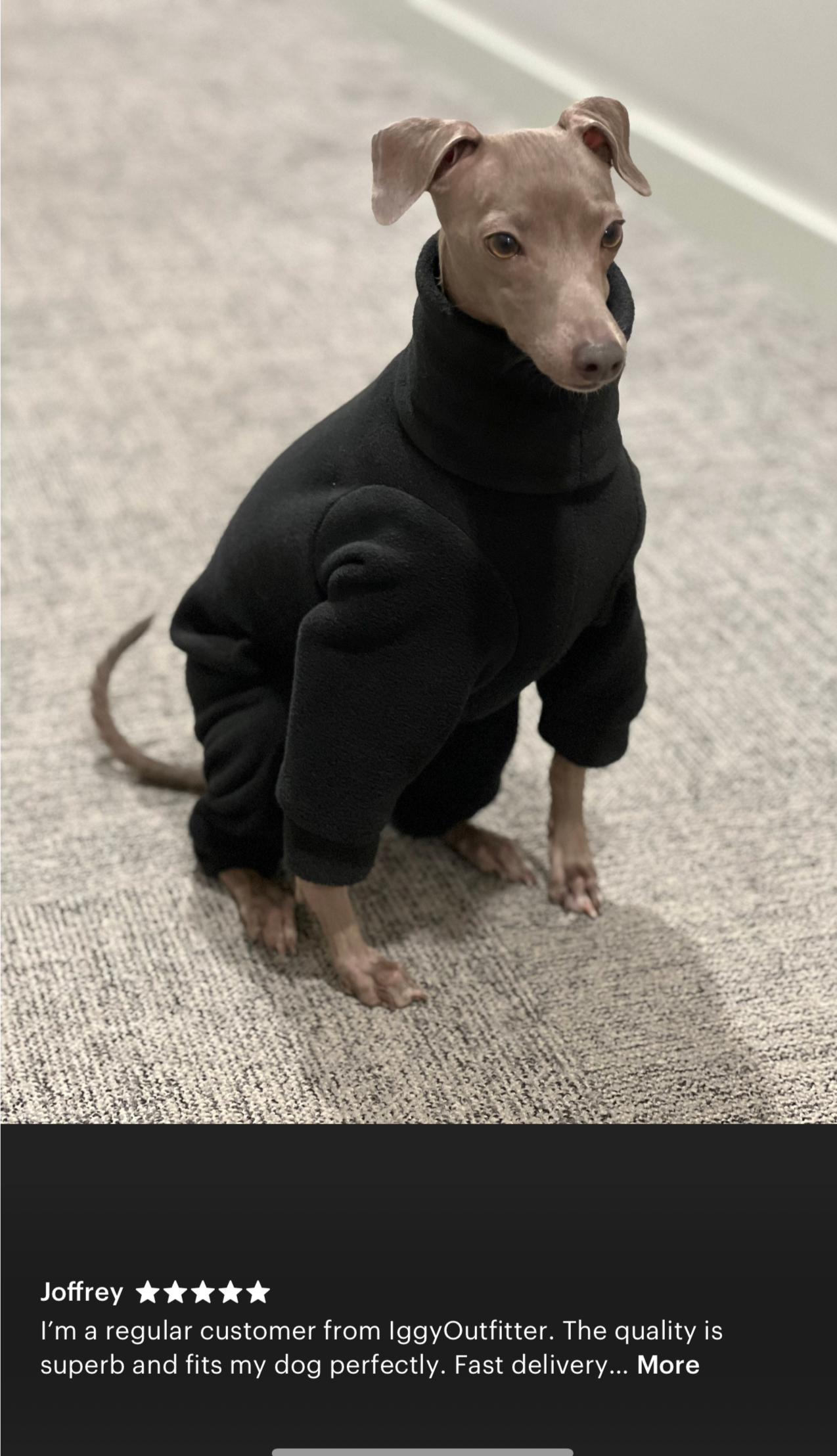 Italian greyhound onesie size XL - Plain fleece