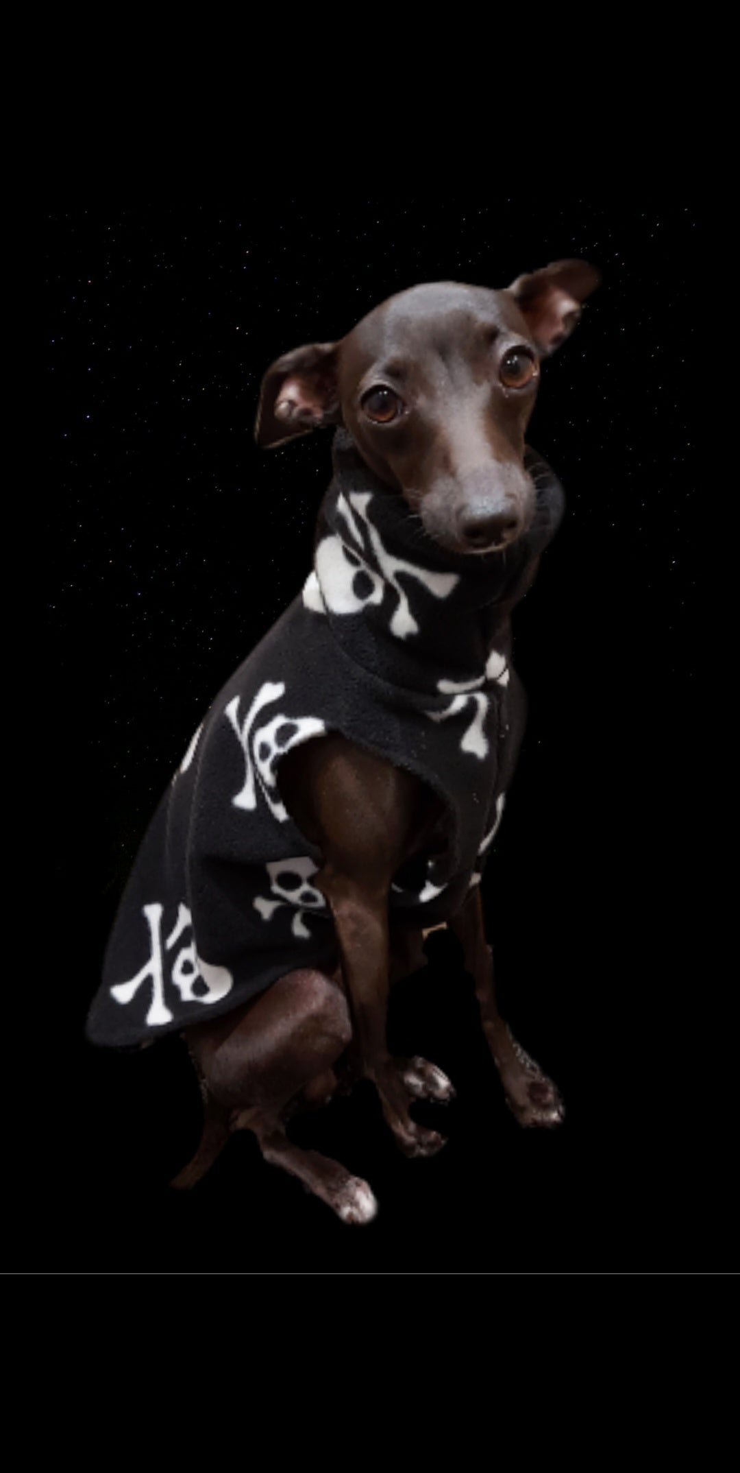 Made to order Italian Greyhound fleece vest jumper size XS - Patterned fleece