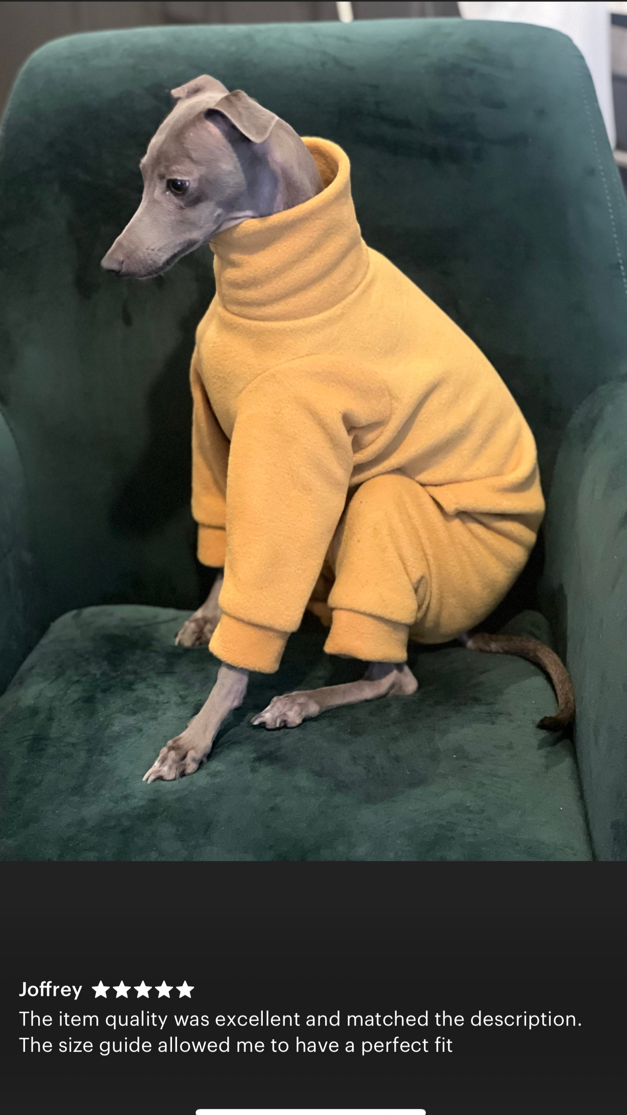 Italian greyhound onesie size L - Plain fleece