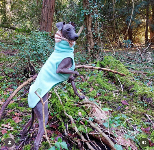 Made to order Italian Greyhound fleece vest jumper size XL - Plain fleece