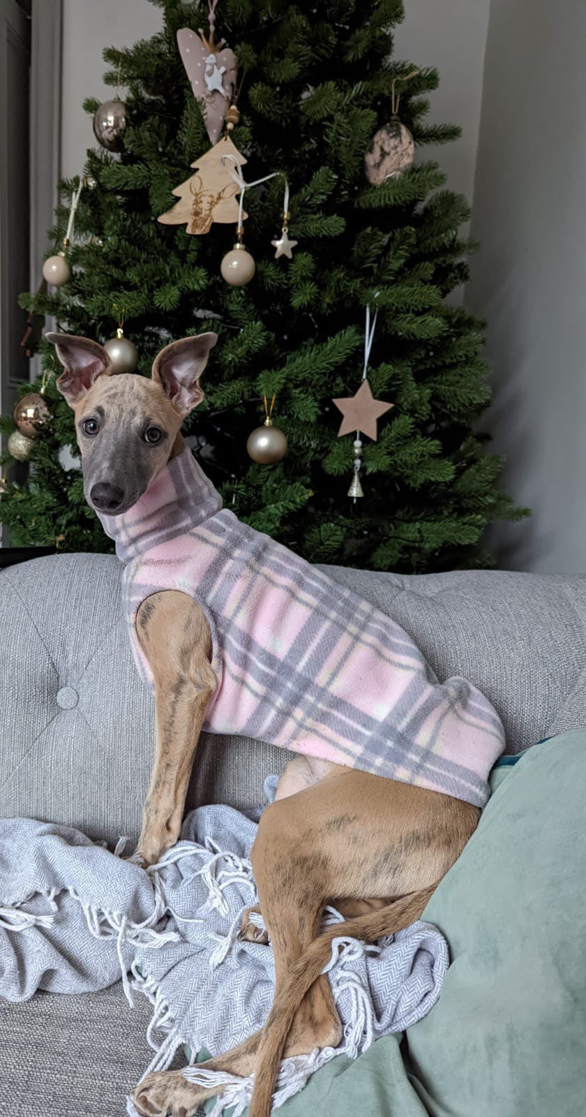 Made to order Italian Greyhound fleece vest jumper size XS - Patterned fleece