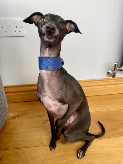 Super soft leather Italian Greyhound collar - Indian Ocean Blue