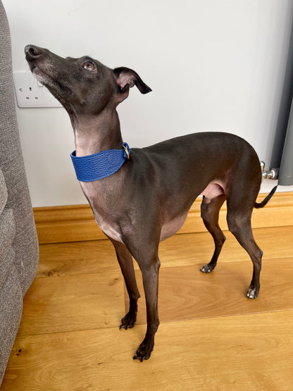 Super soft leather Whippet collar -  Indian Ocean Blue