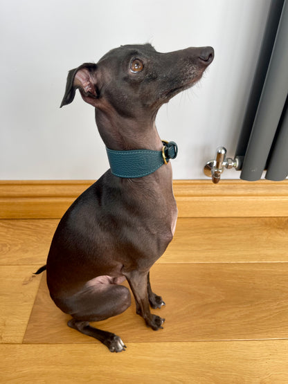 Super soft leather Italian Greyhound collar - Mallard Green