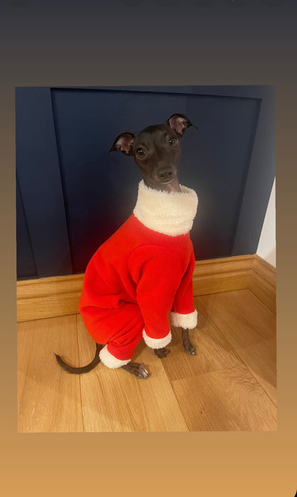 Santa suit. Italian Greyhound father Christmas fleece onesie jumper. Iggy jumpsuit. All sizes.
