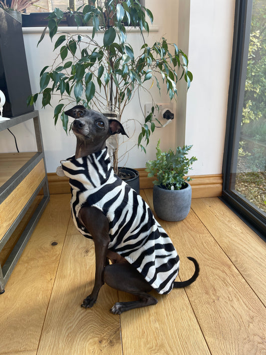 Made to order Italian Greyhound faux fur vest jumper - Zebra