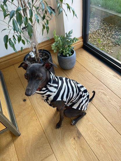 Made to order Italian Greyhound faux fur vest jumper - Zebra