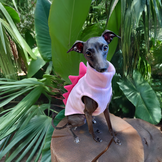 Made to order Italian Greyhound Iggysaurus vests