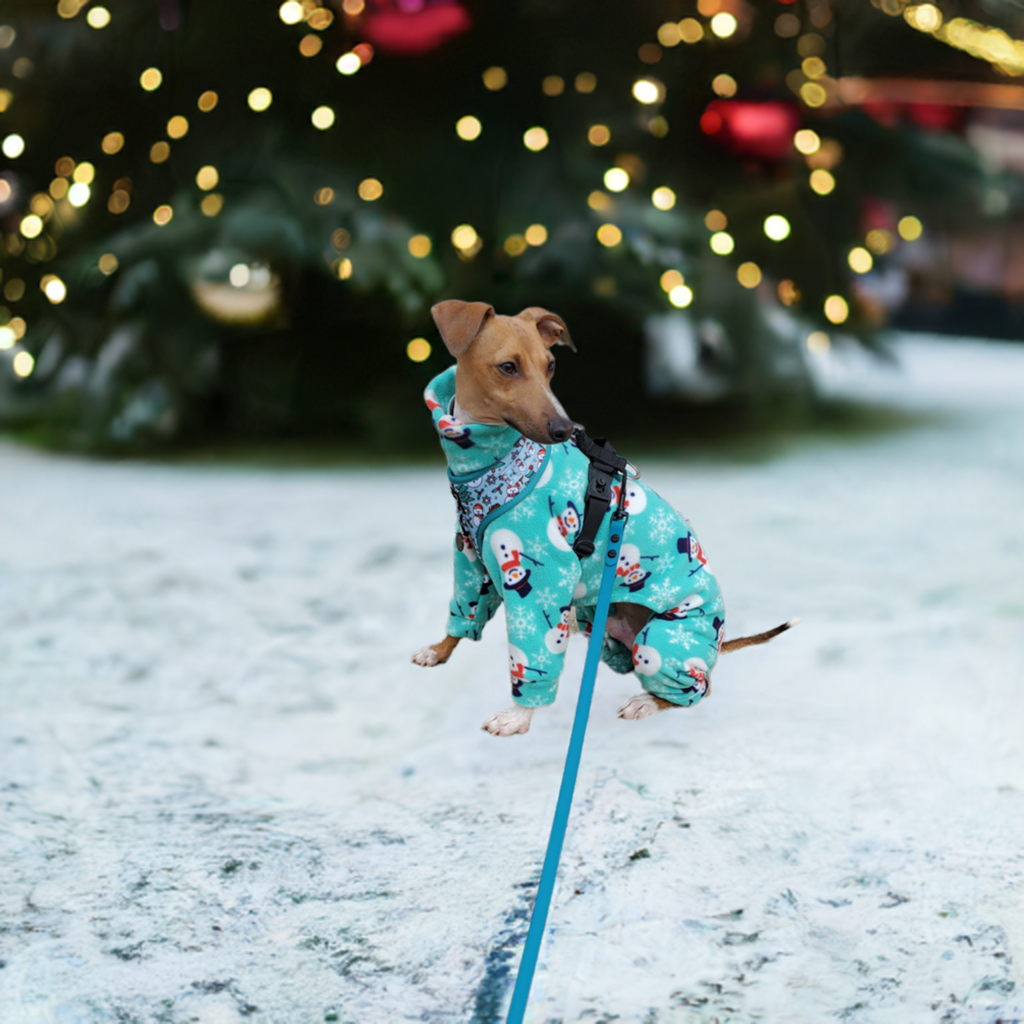 Italian Greyhound aqua happy snowmen Christmas onesie. All sizes - MADE TO ORDER