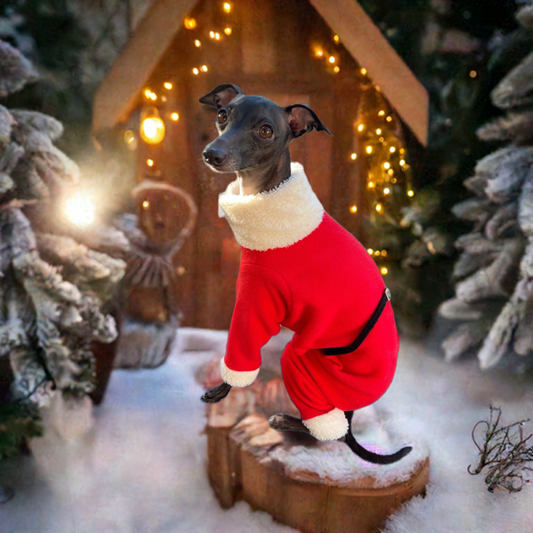 Santa suit. Italian Greyhound father Christmas fleece onesie jumper. Iggy jumpsuit. All sizes - MADE TO ORDER