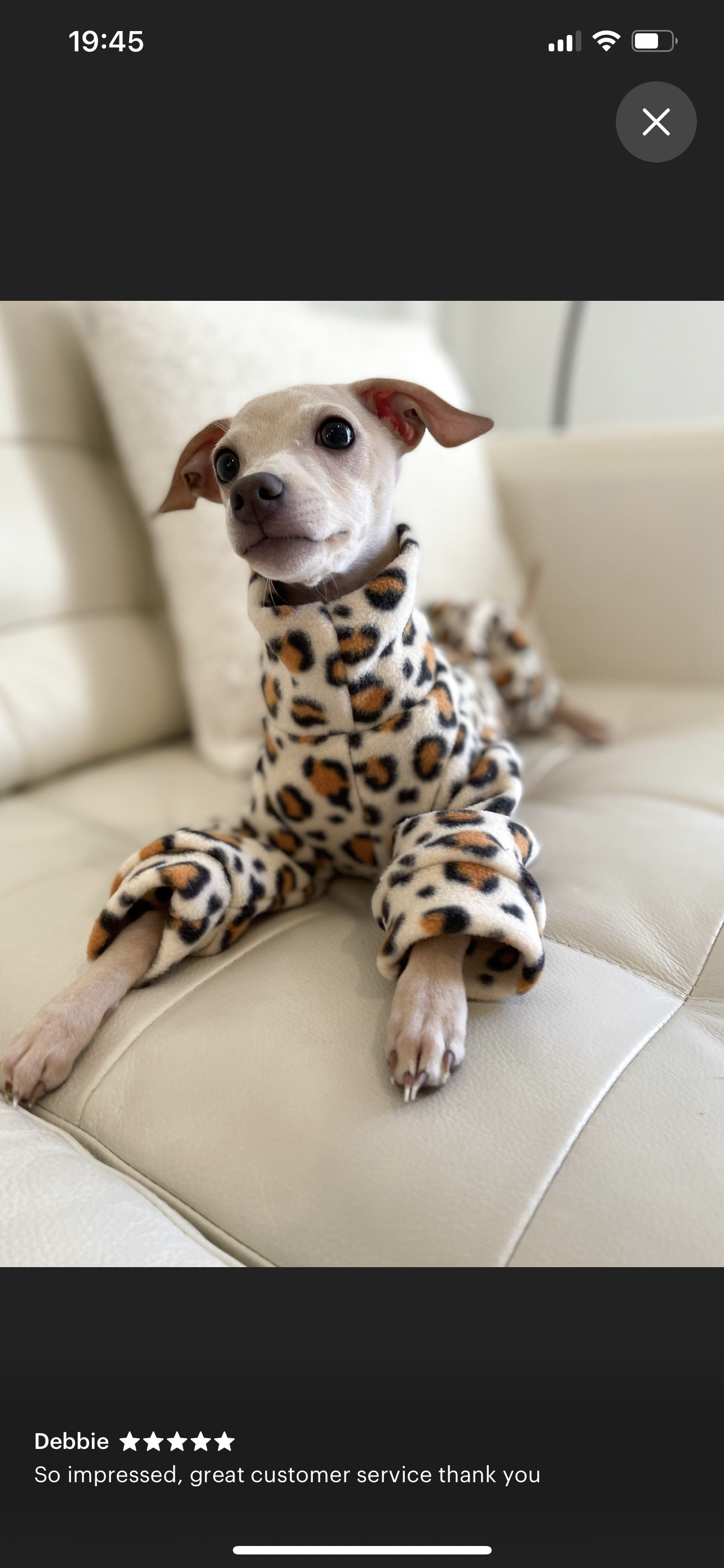 Italian greyhound onesie size L - Patterned fleece