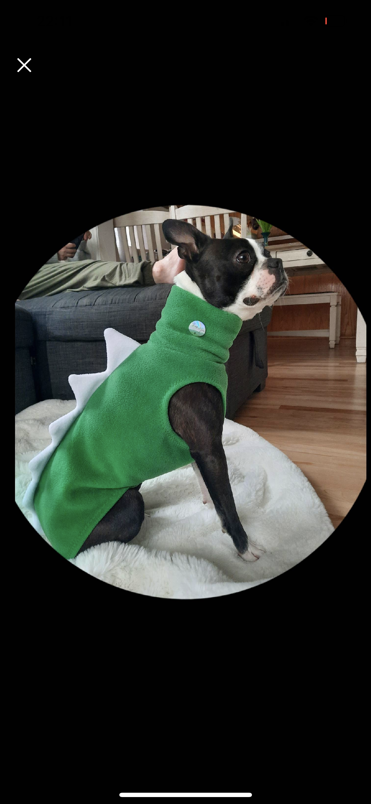 Made to order Italian Greyhound Iggysaurus vests