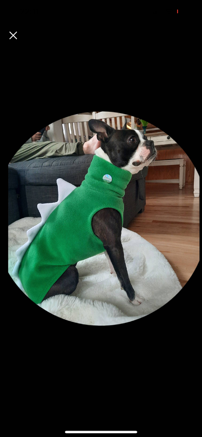 Made to order Italian Greyhound Iggysaurus vests