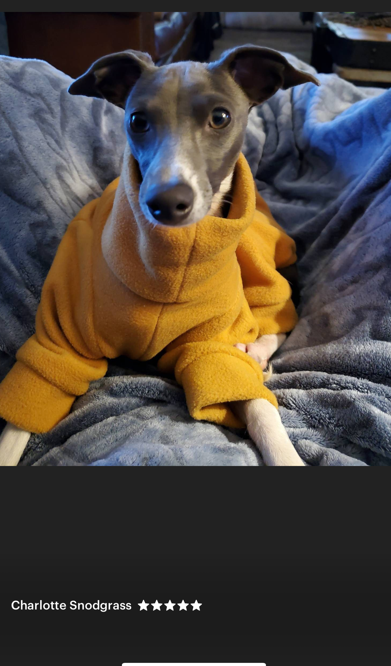 Italian greyhound onesie size M - Plain fleece