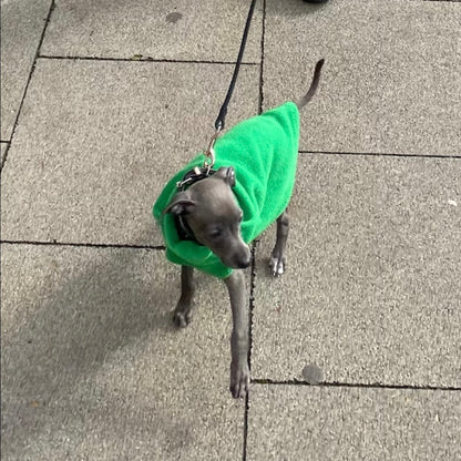 Made to order Italian Greyhound puppy vests - Plain fleece