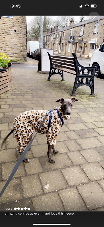 Italian greyhound onesie size XS - Patterned fleece