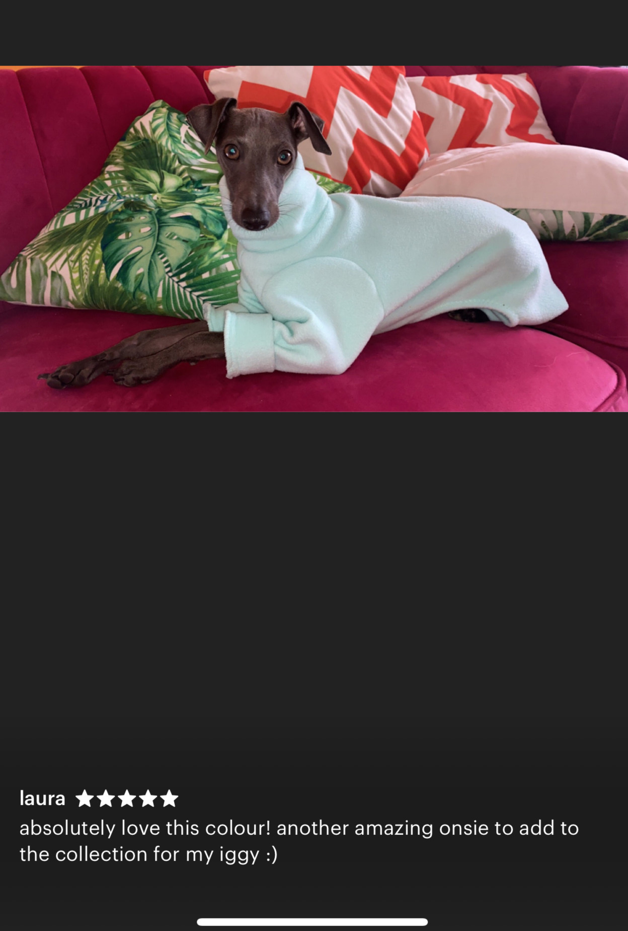 Italian greyhound onesie size XL - Plain fleece