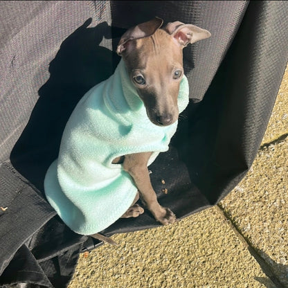 Made to order Italian Greyhound puppy vests - Plain fleece