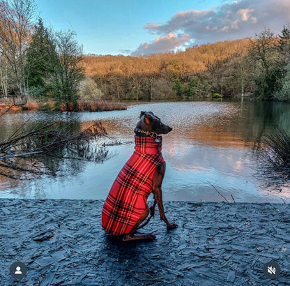 Made to order Italian Greyhound fleece vest jumper size M - Patterned fleece