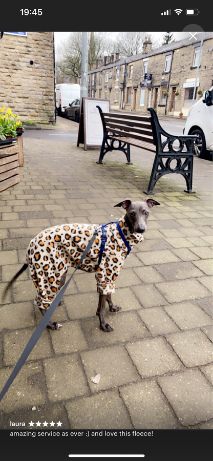 Italian greyhound onesie size XXL - Patterned fleece