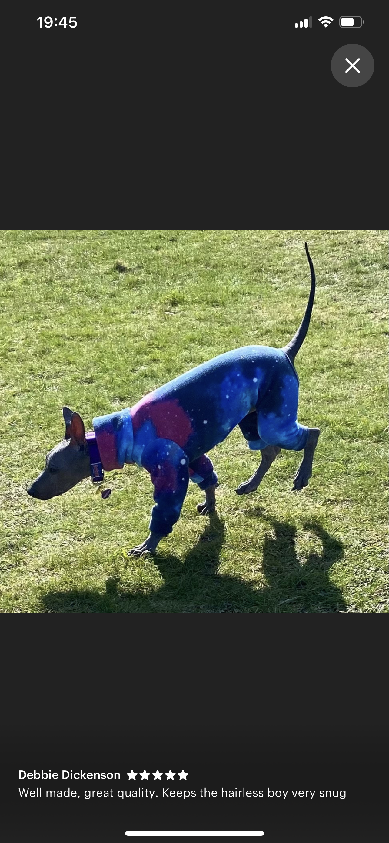 Italian greyhound onesie size L - Patterned fleece