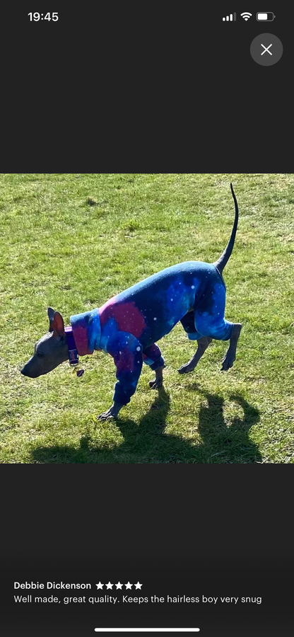 Italian greyhound onesie size L - Patterned fleece