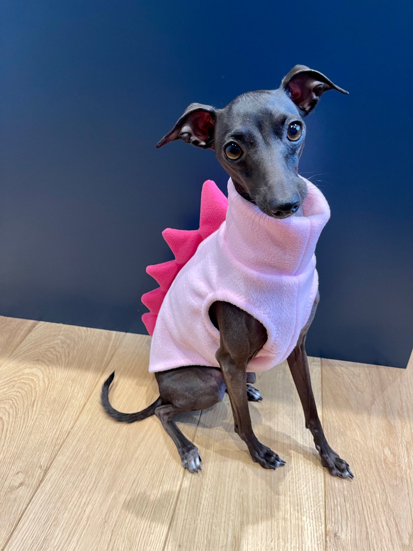 Made to order Italian Greyhound Iggysaurus vests